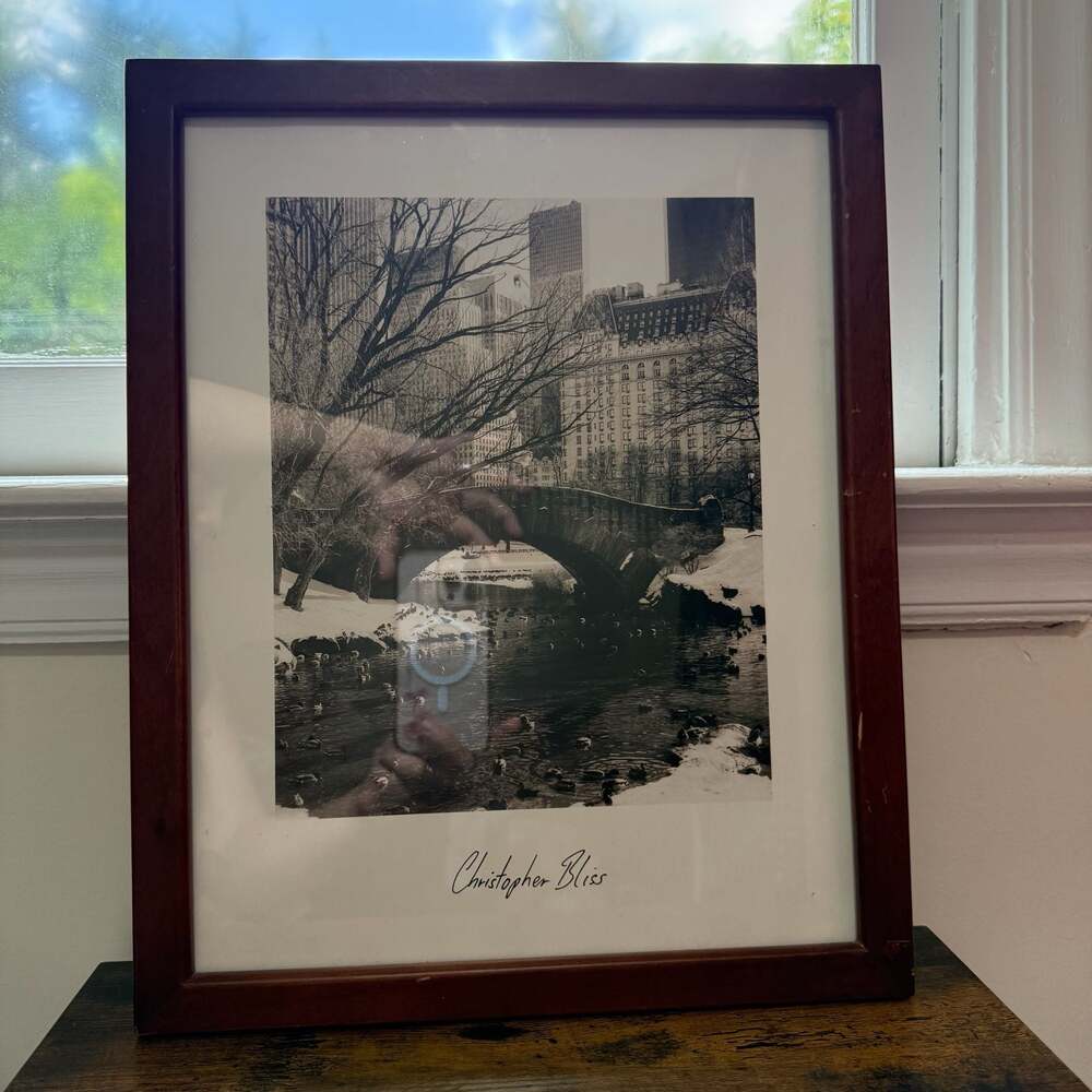 Christopher Bliss Framed Central Park Gapstow Bridge Winter Photography 12x15